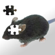 Illustration for article titled Computer Assisted Memory: Brilliant or Horrific?